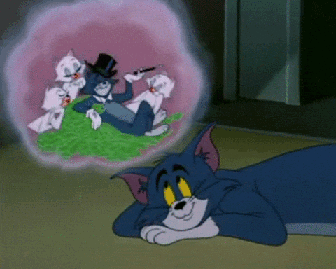money rich-dream-tom-and-jerry